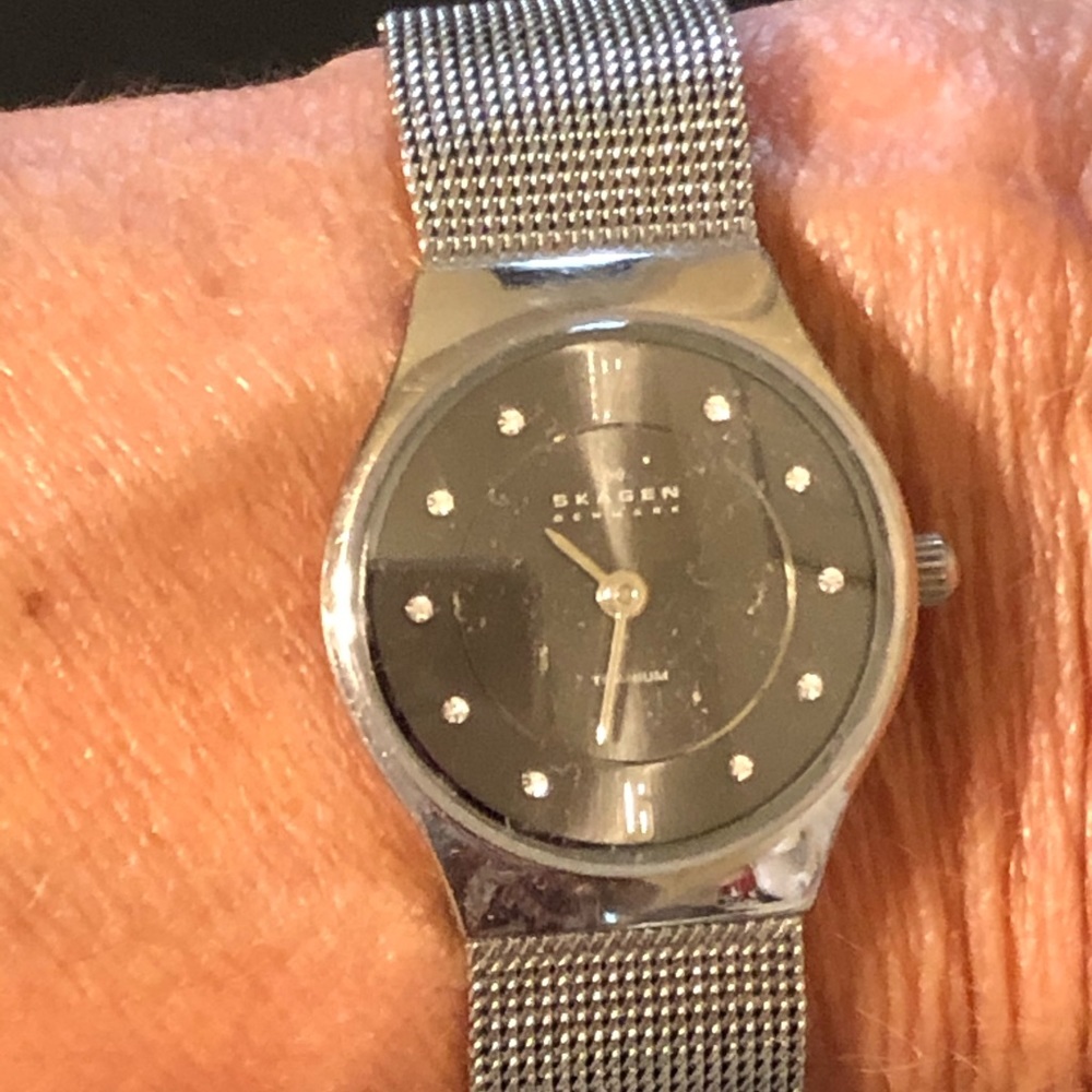 Skagen Adjustable Mesh Band watch